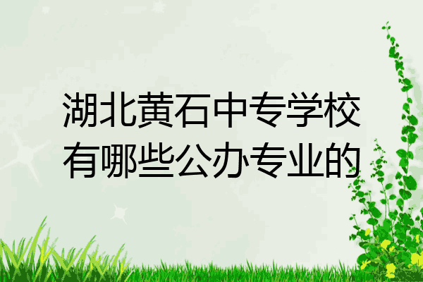 湖北黄石中专学校有哪些公办专业的