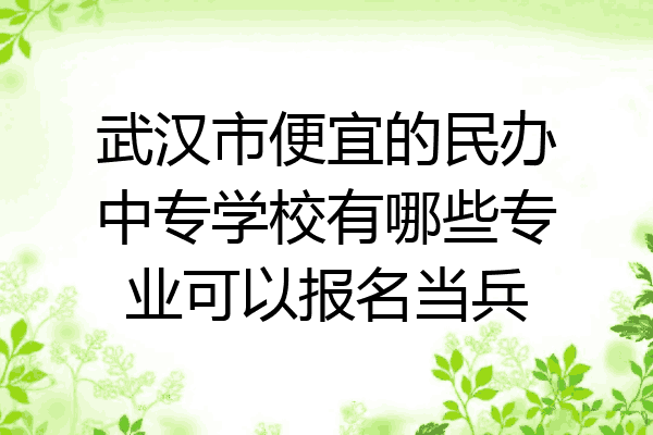 武汉市便宜的民办中专学校有哪些专业可以报名当兵