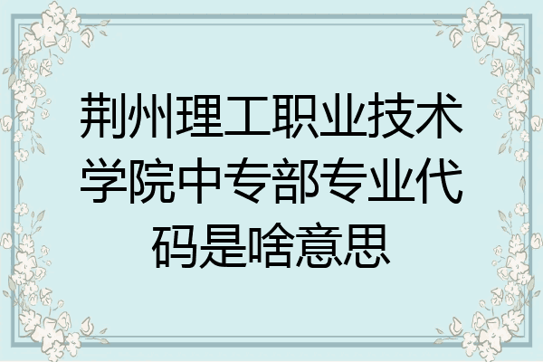 荆州理工职业技术学院中专部专业代码是啥意思
