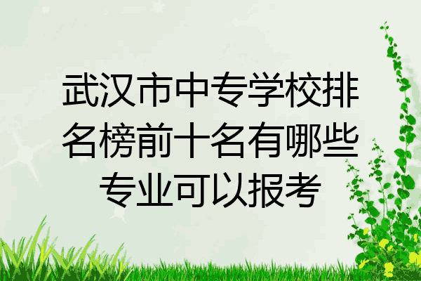 武汉市中专学校排名榜前十名有哪些专业可以报考