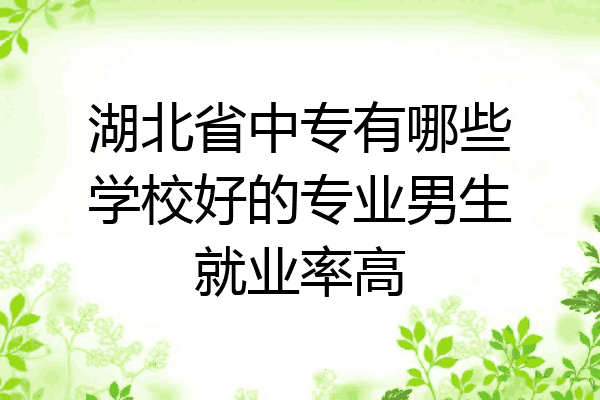 湖北省中专有哪些学校好的专业男生就业率高