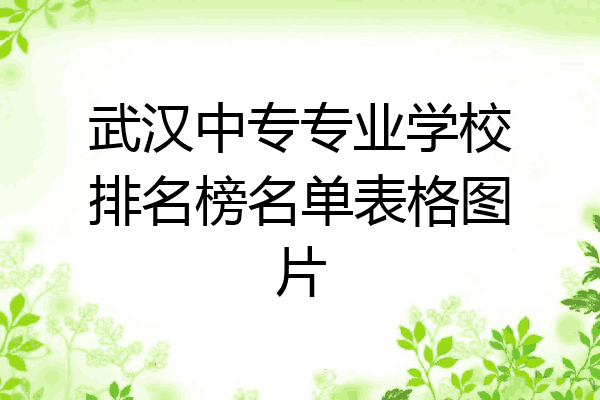武汉中专专业学校排名榜名单表格图片