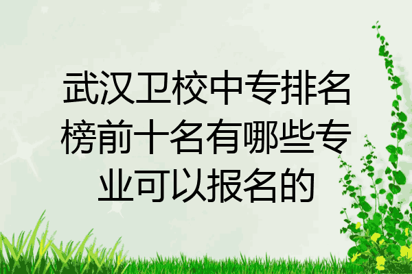 武汉卫校中专排名榜前十名有哪些专业可以报名的