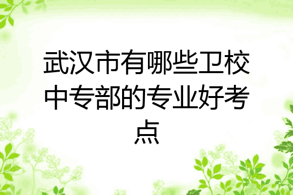 武汉市有哪些卫校中专部的专业好考点