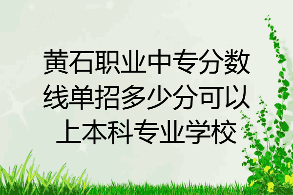 黄石职业中专分数线单招多少分可以上本科专业学校