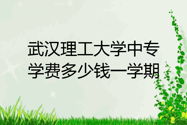 武汉理工大学中专学费多少钱一学期