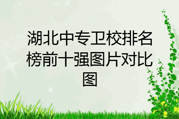 湖北中专卫校排名榜前十强图片对比图