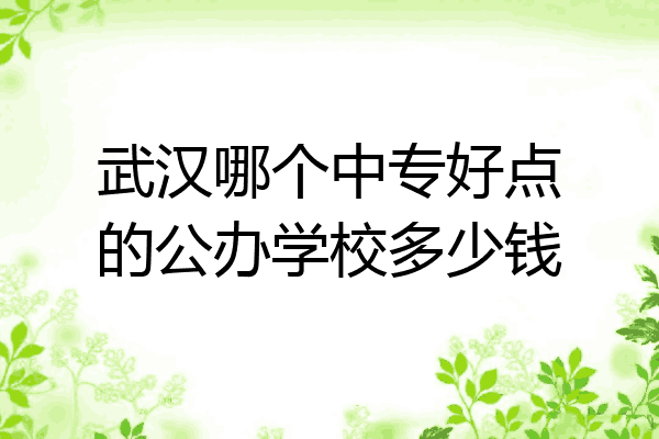 武汉哪个中专好点的公办学校多少钱