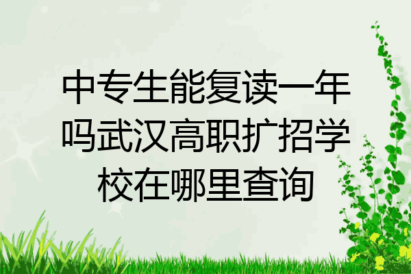 中专生能复读一年吗武汉高职扩招学校在哪里查询