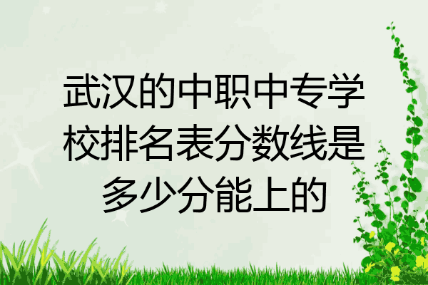 武汉的中职中专学校排名表分数线是多少分能上的