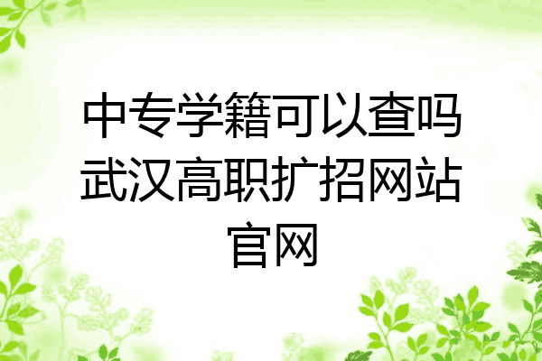 中专学籍可以查吗武汉高职扩招网站官网