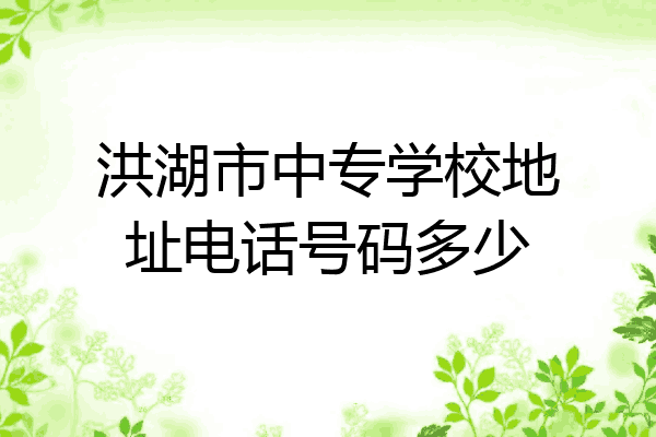 洪湖市中专学校地址电话号码多少