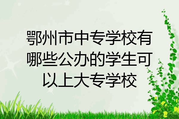 鄂州市中专学校有哪些公办的学生可以上大专学校