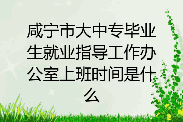 咸宁市大中专毕业生就业指导工作办公室上班时间是什么