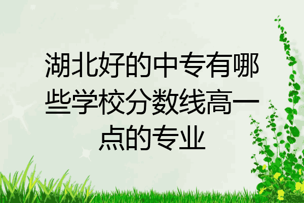 湖北好的中专有哪些学校分数线高一点的专业