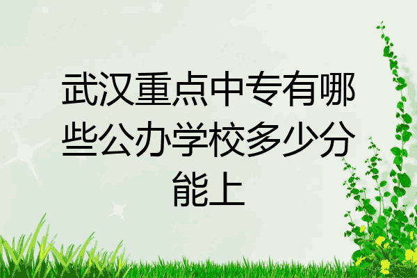 武汉重点中专有哪些公办学校多少分能上