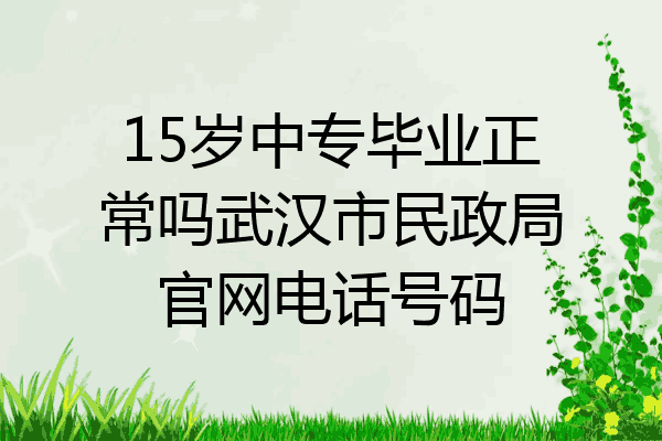 15岁中专毕业正常吗武汉市民政局官网电话号码