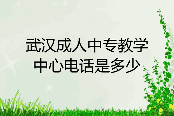 武汉成人中专教学中心电话是多少