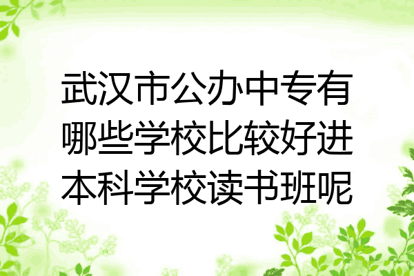 武汉市公办中专有哪些学校比较好进本科学校读书班呢