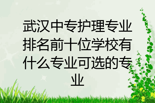 武汉中专护理专业排名前十位学校有什么专业可选的专业