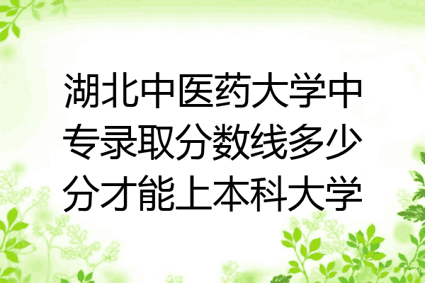 湖北中医药大学中专录取分数线多少分才能上本科大学