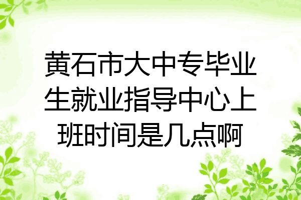 黄石市大中专毕业生就业指导中心上班时间是几点啊