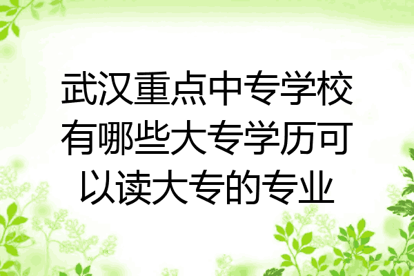武汉重点中专学校有哪些大专学历可以读大专的专业