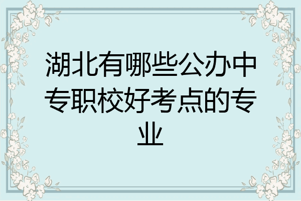 湖北有哪些公办中专职校好考点的专业
