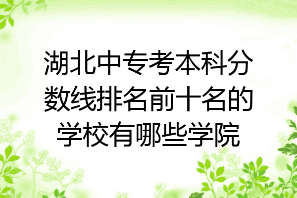 湖北中专考本科分数线排名前十名的学校有哪些学院