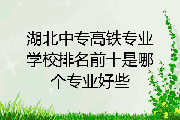 湖北中专高铁专业学校排名前十是哪个专业好些