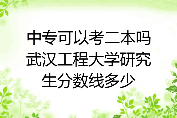 中专可以考二本吗武汉工程大学研究生分数线多少