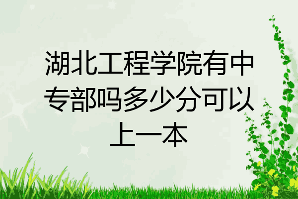湖北工程学院有中专部吗多少分可以上一本