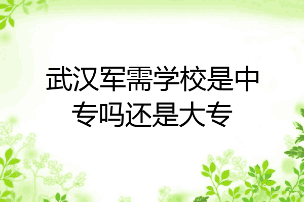 武汉军需学校是中专吗还是大专