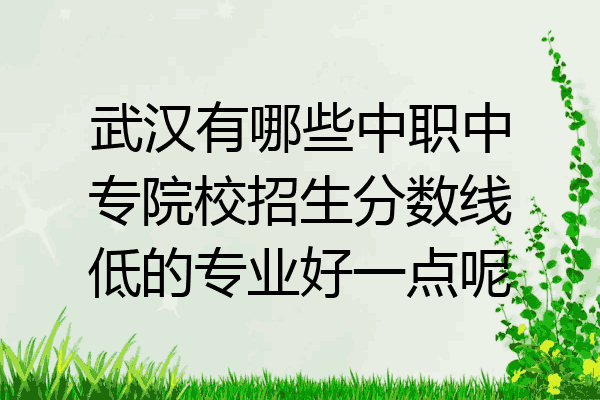 武汉有哪些中职中专院校招生分数线低的专业好一点呢