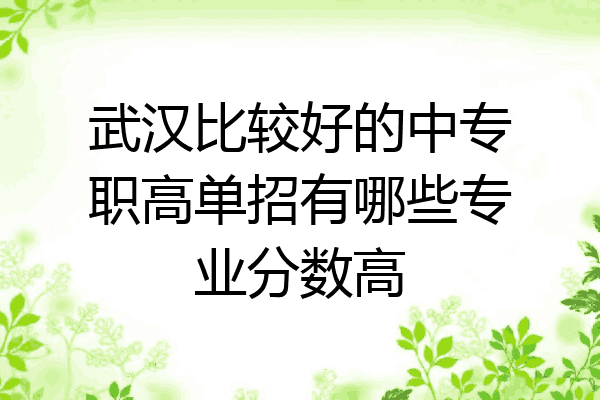 武汉比较好的中专职高单招有哪些专业分数高