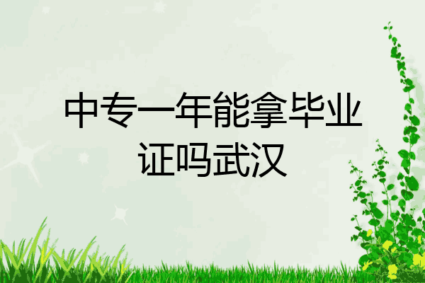 中专一年能拿毕业证吗武汉