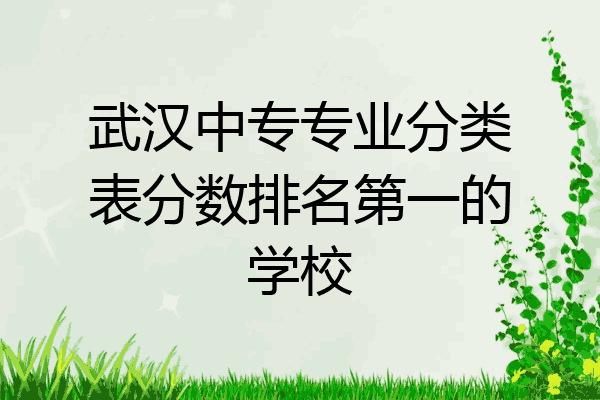 武汉中专专业分类表分数排名第一的学校