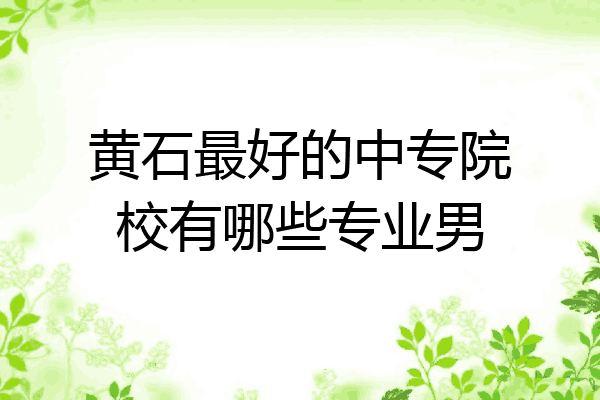 黄石最好的中专院校有哪些专业男
