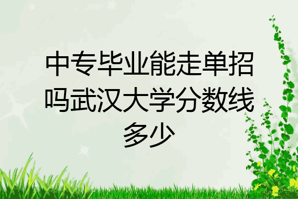 中专毕业能走单招吗武汉大学分数线多少