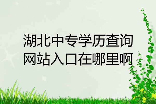 湖北中专学历查询网站入口在哪里啊