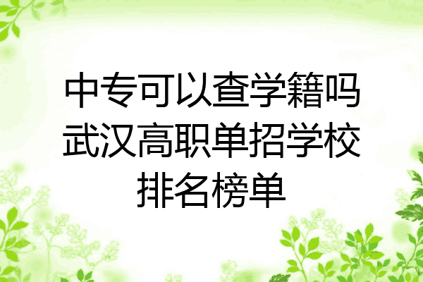 中专可以查学籍吗武汉高职单招学校排名榜单