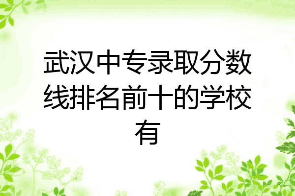 武汉中专录取分数线排名前十的学校有