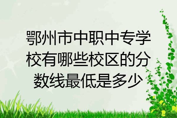 鄂州市中职中专学校有哪些校区的分数线最低是多少