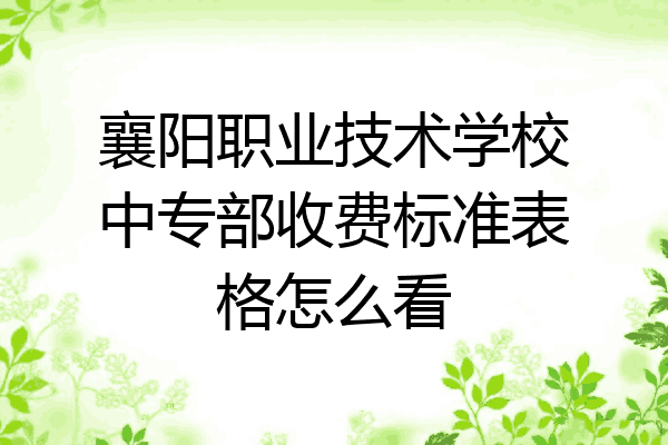 襄阳职业技术学校中专部收费标准表格怎么看