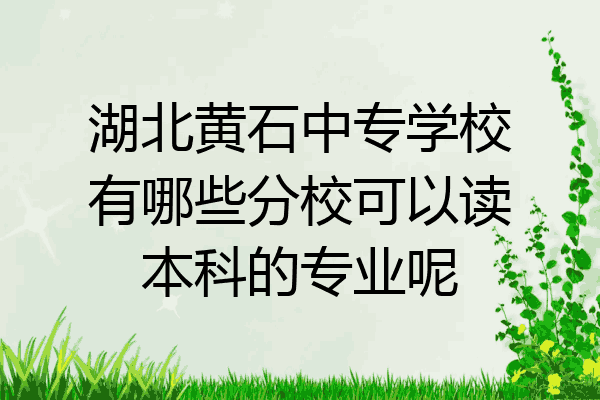 湖北黄石中专学校有哪些分校可以读本科的专业呢