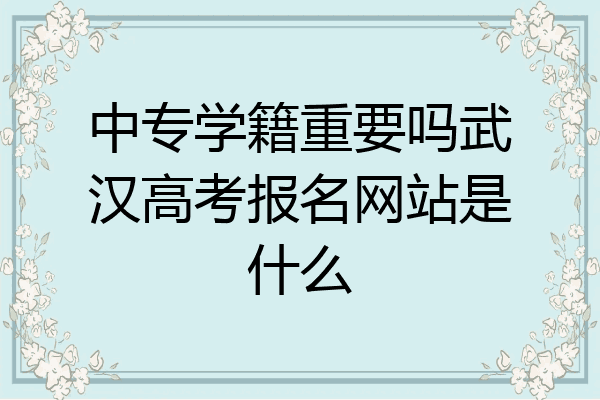 中专学籍重要吗武汉高考报名网站是什么