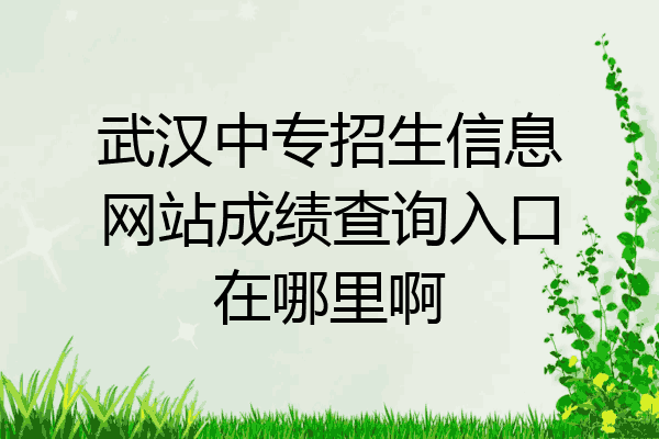 武汉中专招生信息网站成绩查询入口在哪里啊