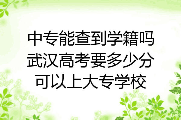 中专能查到学籍吗武汉高考要多少分可以上大专学校
