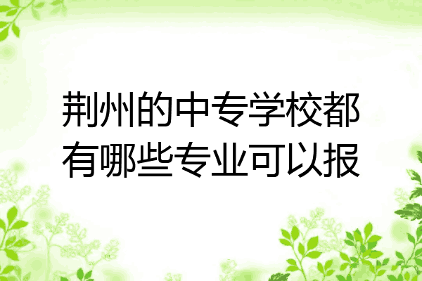 荆州的中专学校都有哪些专业可以报