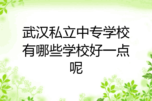 武汉私立中专学校有哪些学校好一点呢